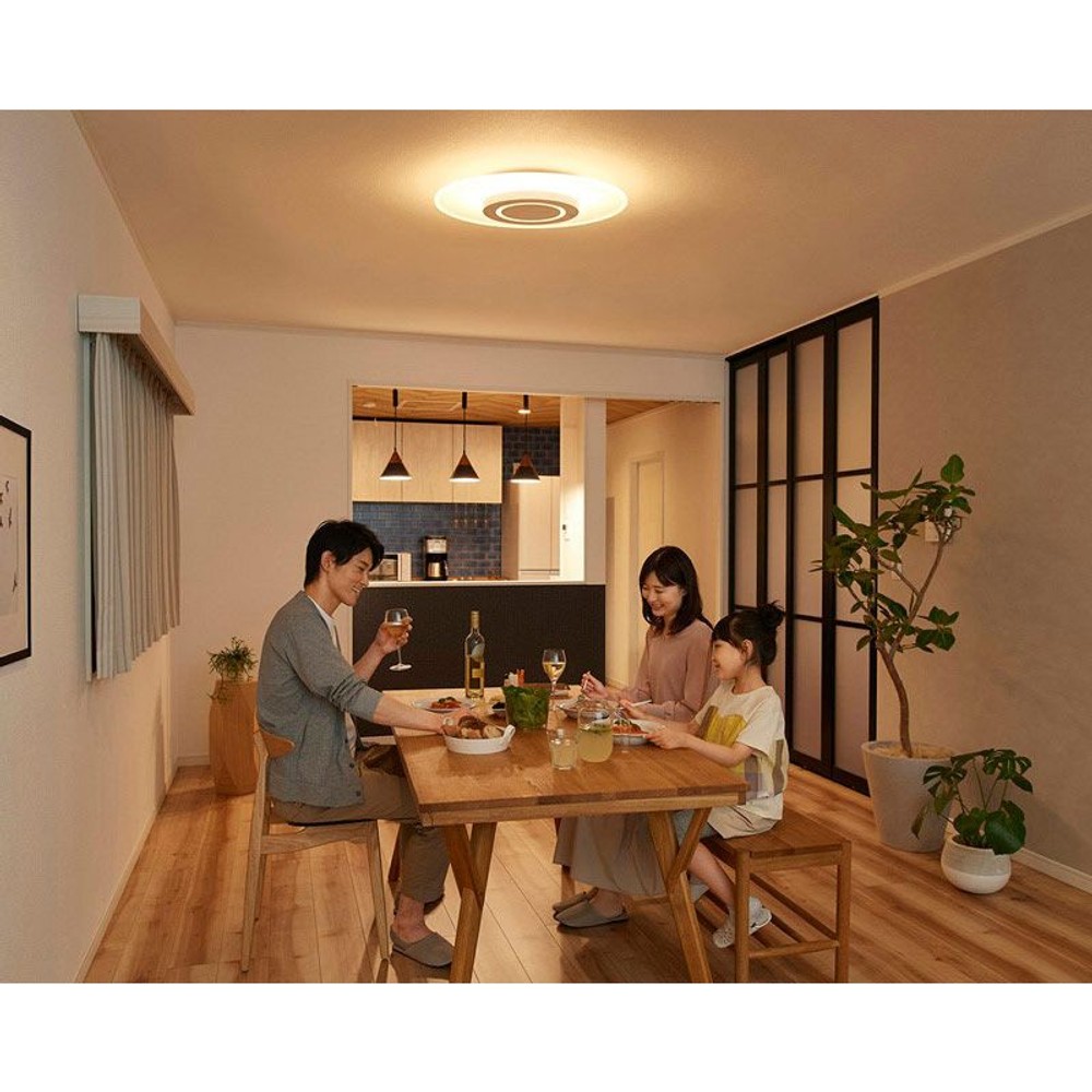 ＬＥＤシーリングライト導光板調色, 導光板調色, 8畳用