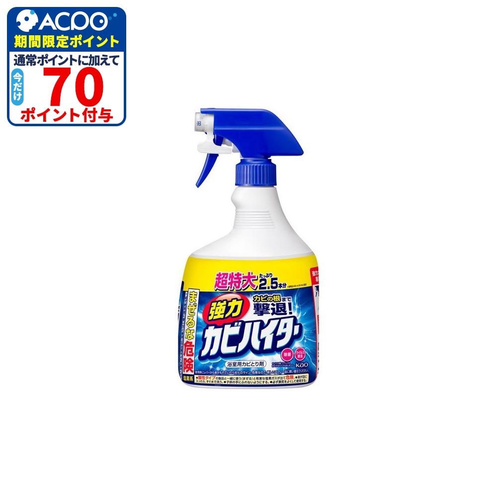 強力カビハイター　ハンディスプレー　特大　１０００ｍｌ, 浴室用カビとり剤, 1000ml
