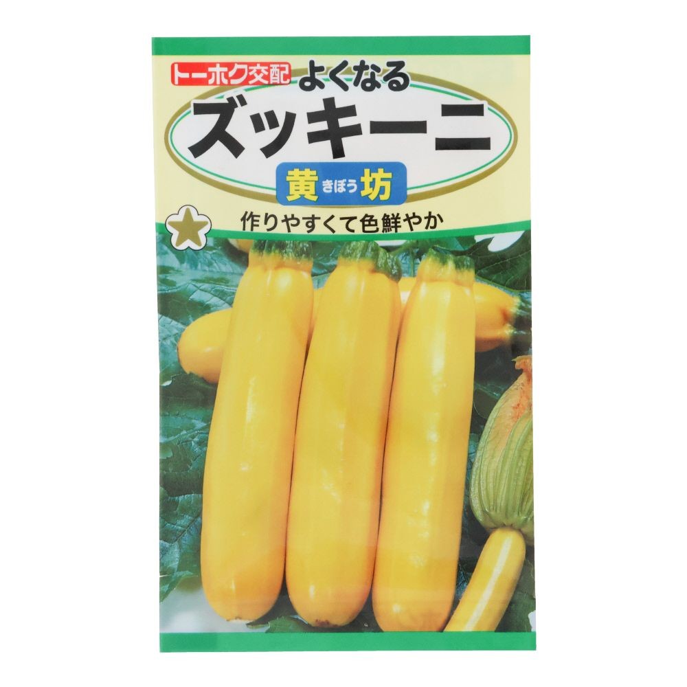 トーホク　よくなるズッキーニ黄坊, ズッキーニ, 3ml