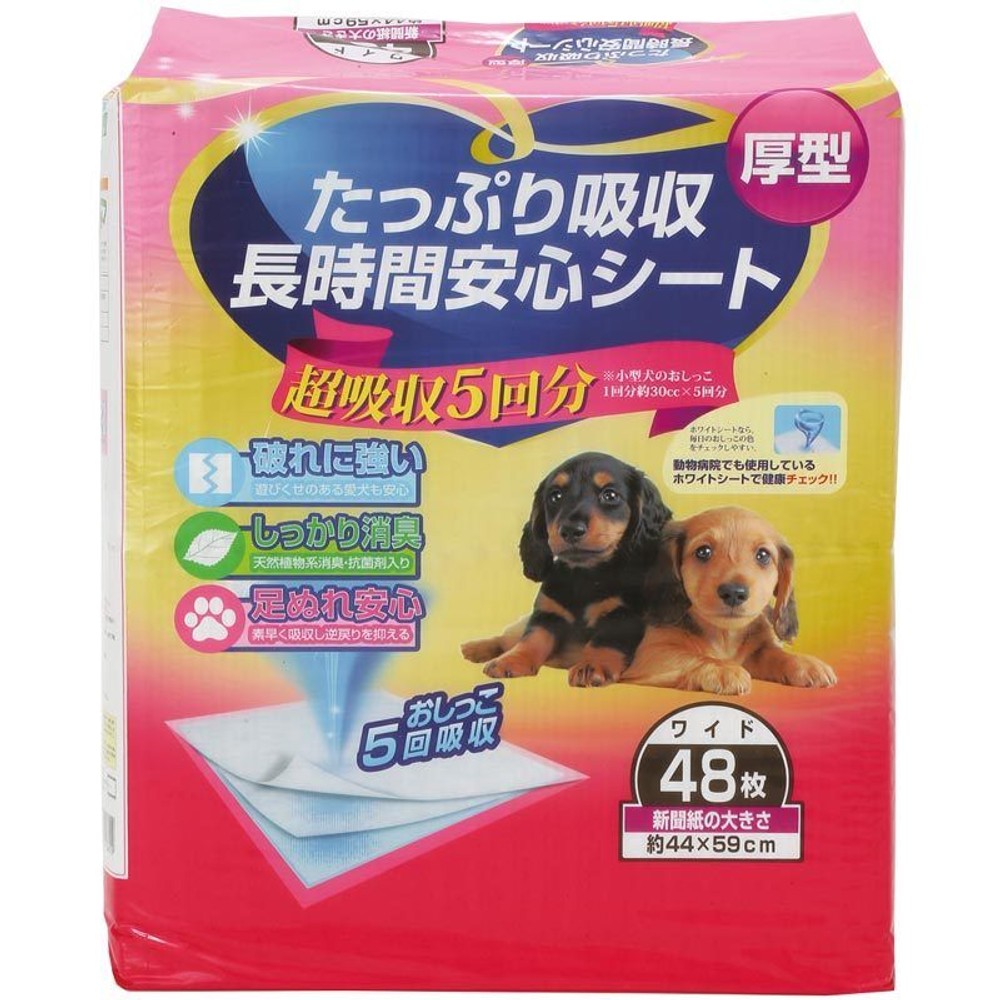 たっぷり吸収長時間安心シート, R, レギュラー