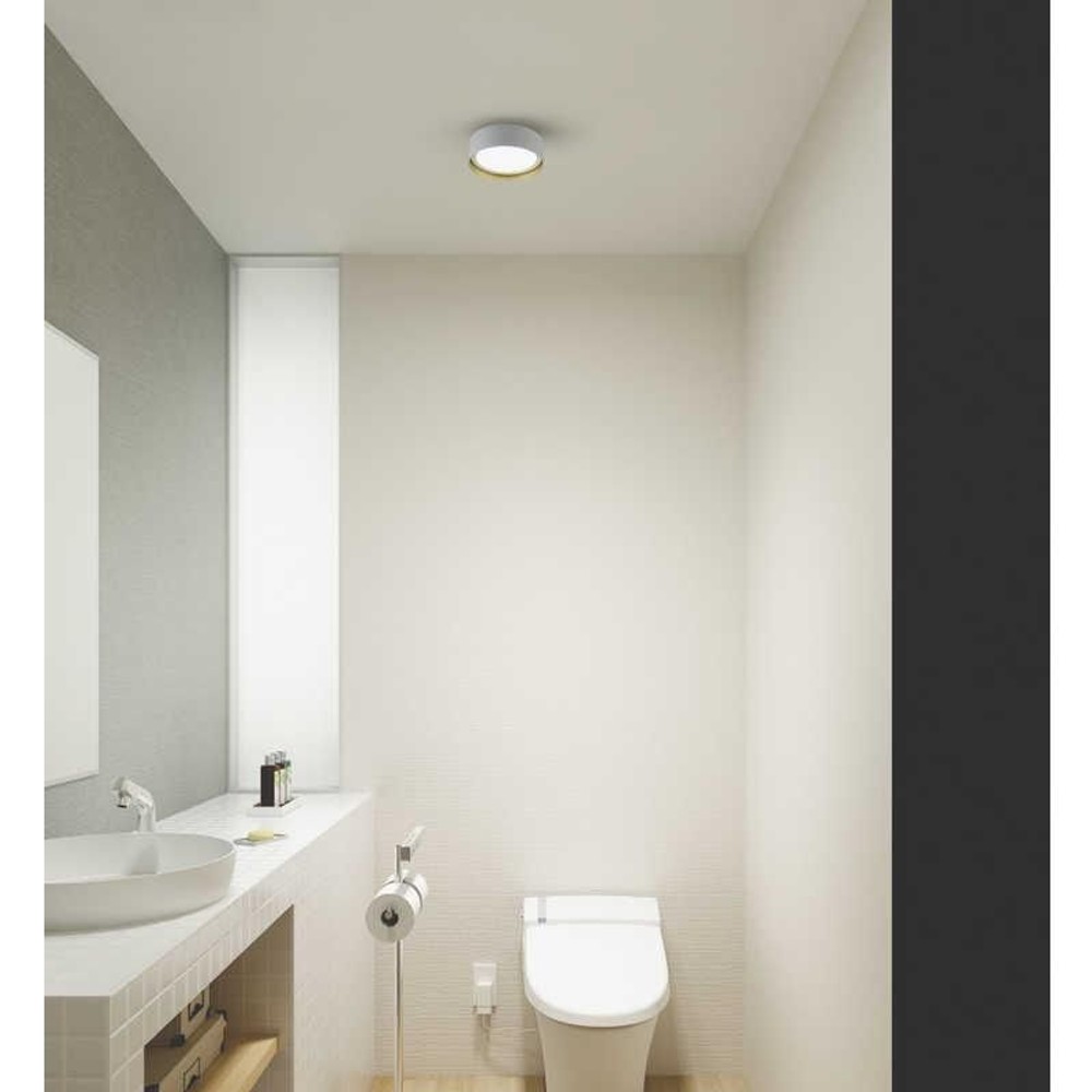 大光電機 DXL-81479C　LED小型シーリングライト 昼光色(6500K), ペールグレー, DXLｰ81479C