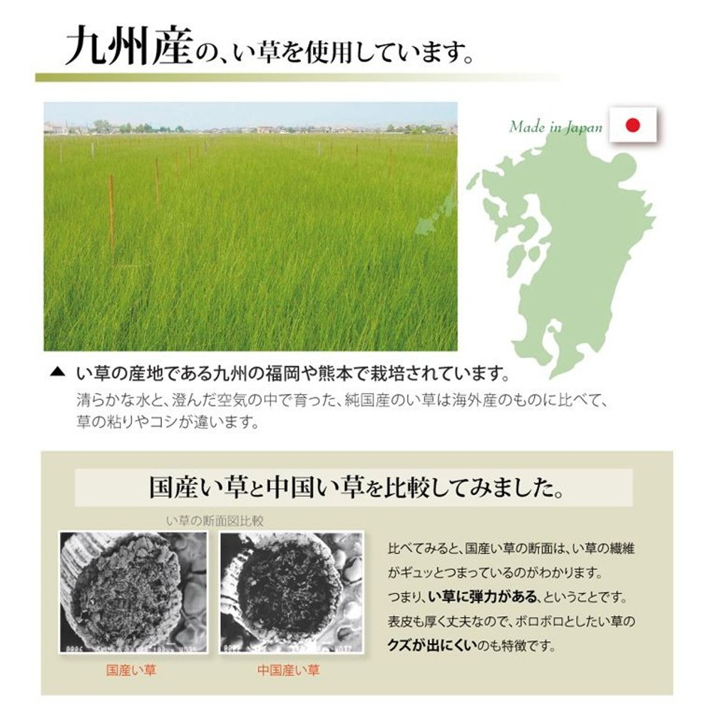 純国産 い草 上敷き カーペット 双目織 『ほほえみ』 江戸間 【メーカ直送・代引不可】, い草, 江戸間1畳(約88&times;176cm）