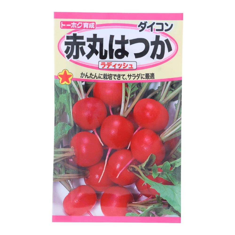 トーホク　赤丸はつか     ラディッシュ, 二十日大根, 8ml