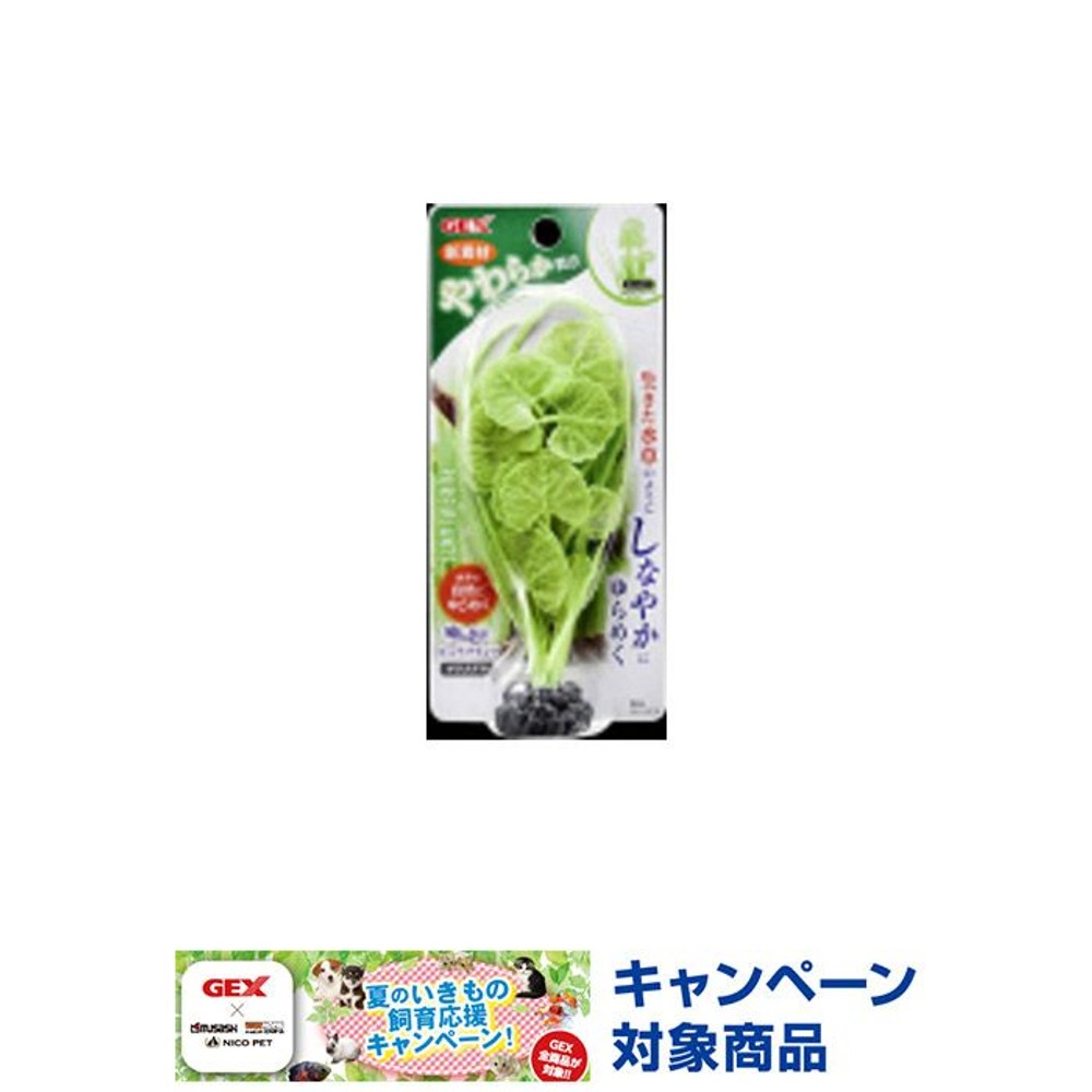 ジェックス　癒し水景ピュアプランツ　チドメグサ, -, -