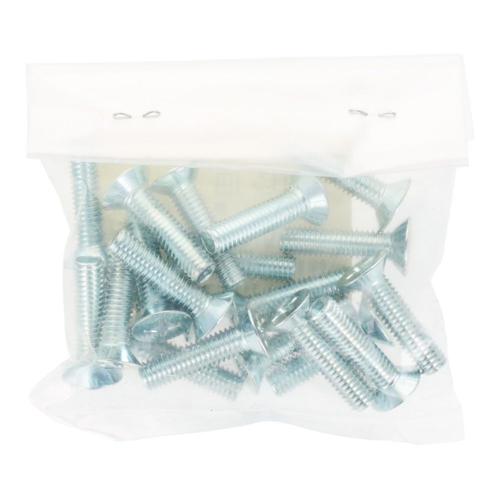 ユニクロ　小ねじ　皿　Ｍ６&times;２５　２０個入り, 小ねじ, M6&times;25