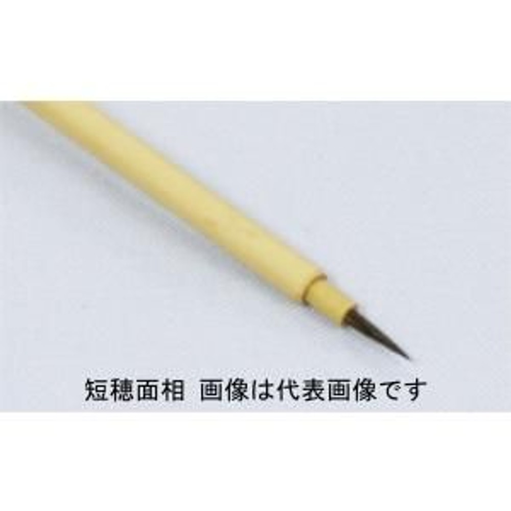 名村大成堂 短穂面相大 (81345004) デザイン筆, 短穂面相大 ,  デザイン筆