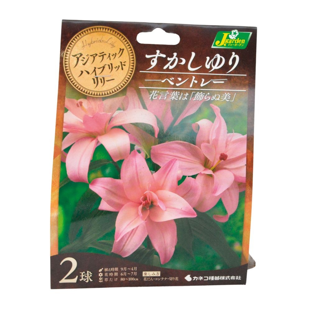 すかしゆり八重咲　ベントレー　2球