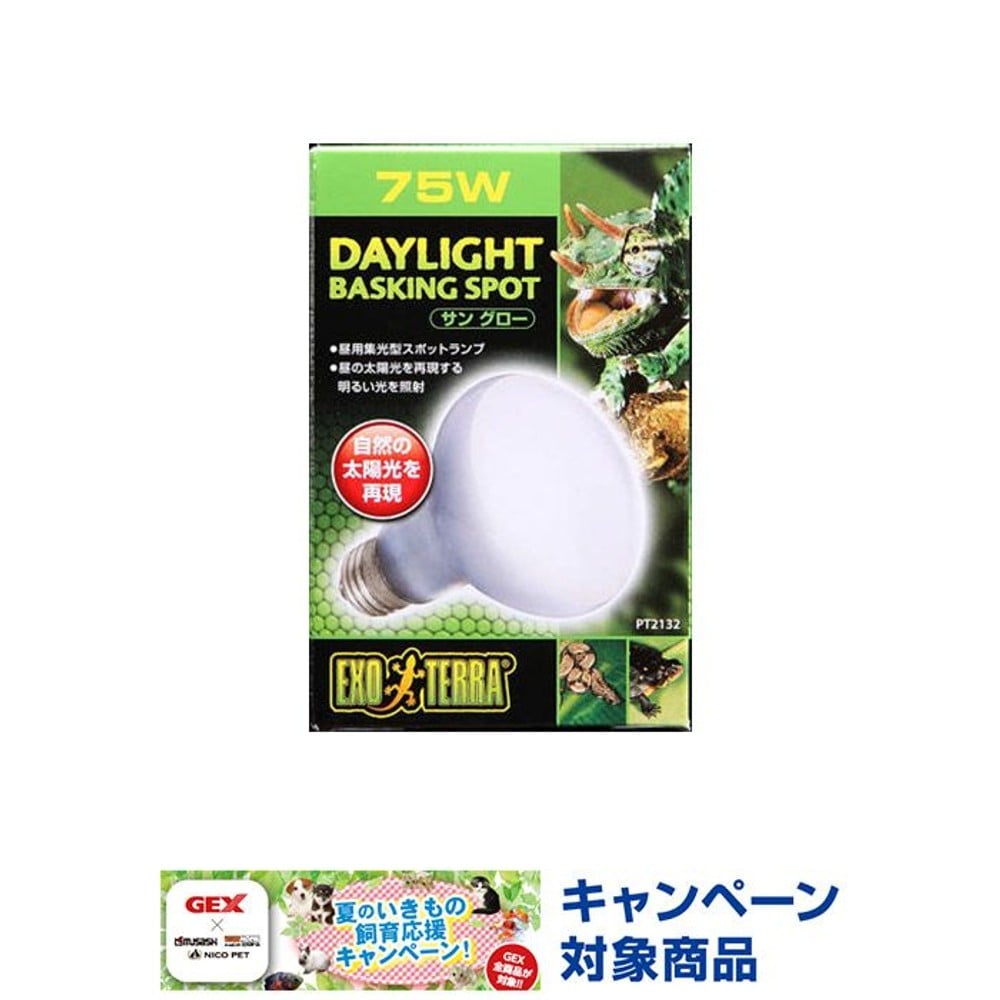 サングローバスキングスポットランプ　７５ＷＰＴ２１３２, -, 75W