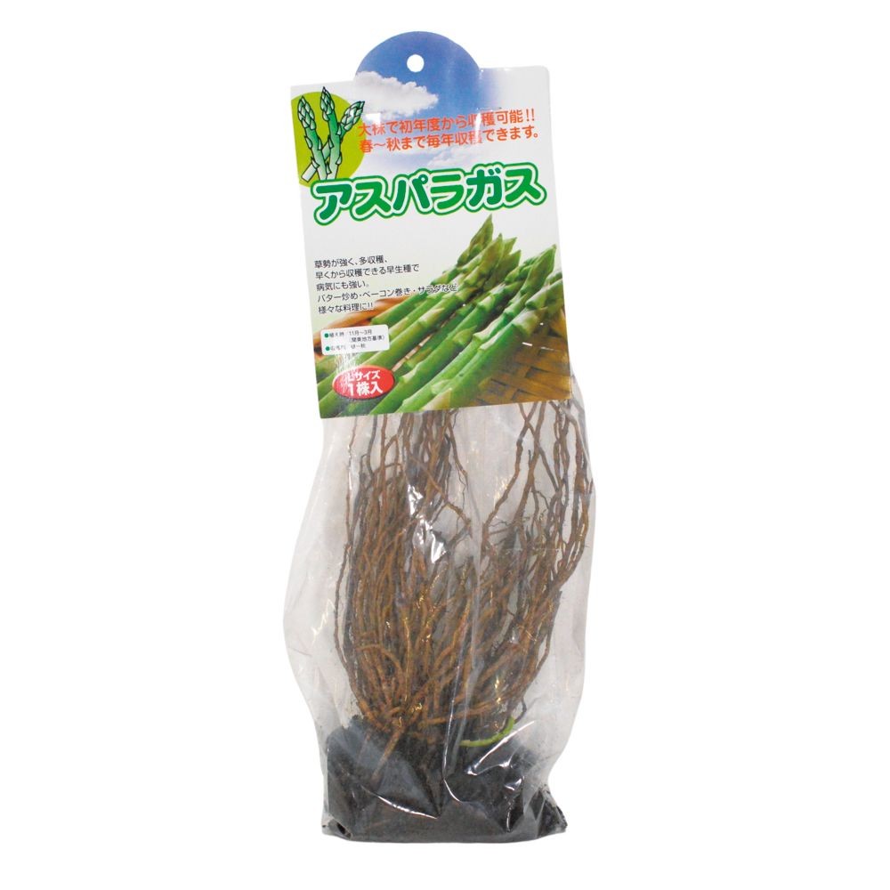 アスパラガス　Lサイズ　1株入り　パック詰め, -, Lサイズ