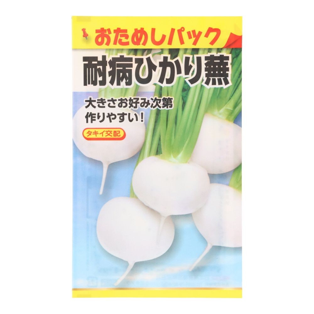 耐病ひかり蕪（おためしパック）, かぶ, 0.5ml
