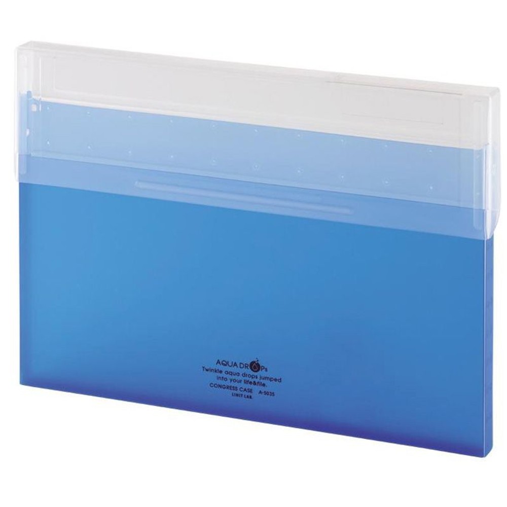 リヒト　コングレスケース　薄型Ａ4　Ａー5035, 乳白, A4ヨコ