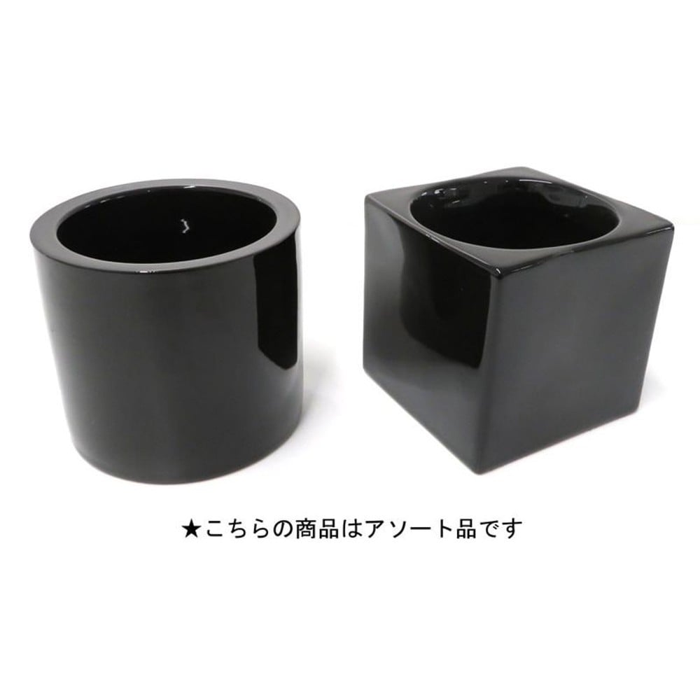 ハイミニフィットの鉢, 黒, -