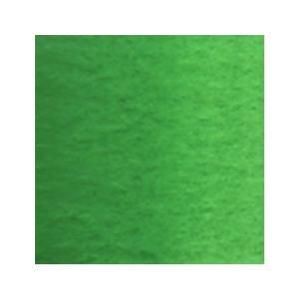 ホルベイン 透明水彩絵具 2号 (5ｍｌ) W067 パーマネント グリーン Ｎｏ．2, W067パーマネントグリーン＃2, 2号 (5ｍｌ) 