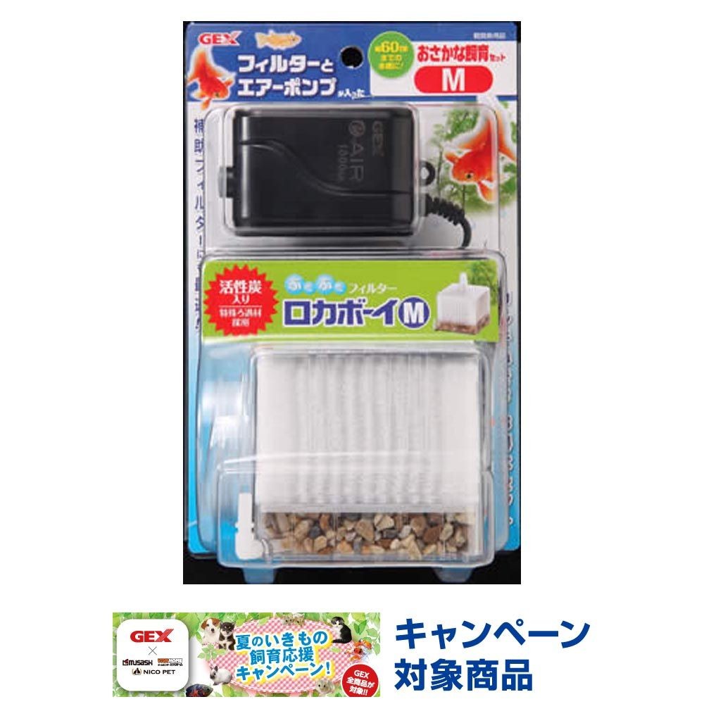 おさかな飼育セット
