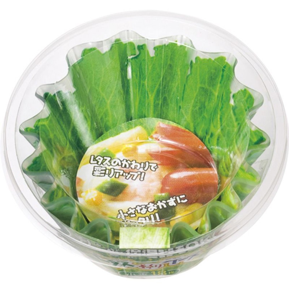 レタスケース小判, その他カラー１, その他サイズ１