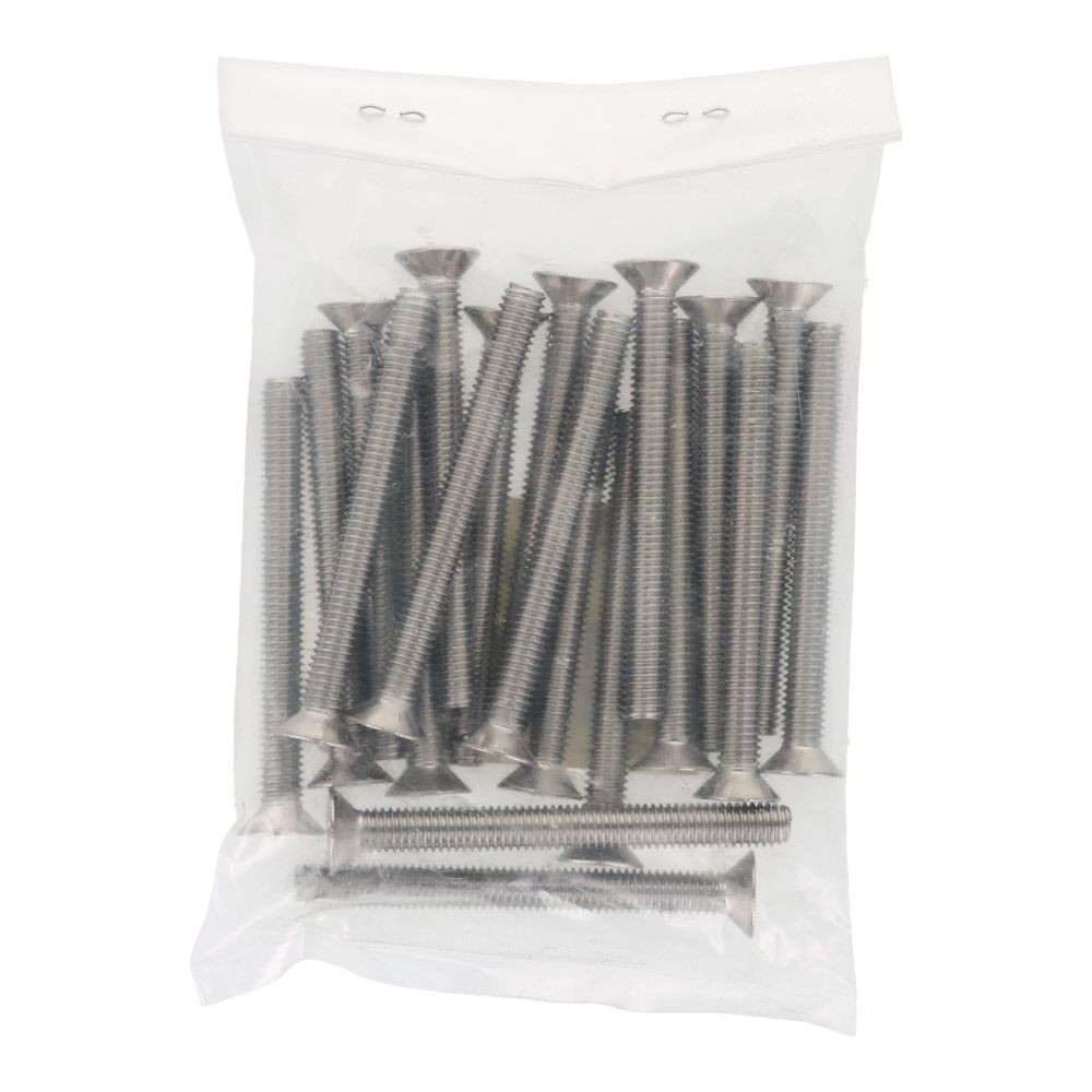 ＯＨＳＡＴＯ　ステンレス　小ねじ　皿　Ｍ６&times;６０　２０入, ステンレス, 20個入り