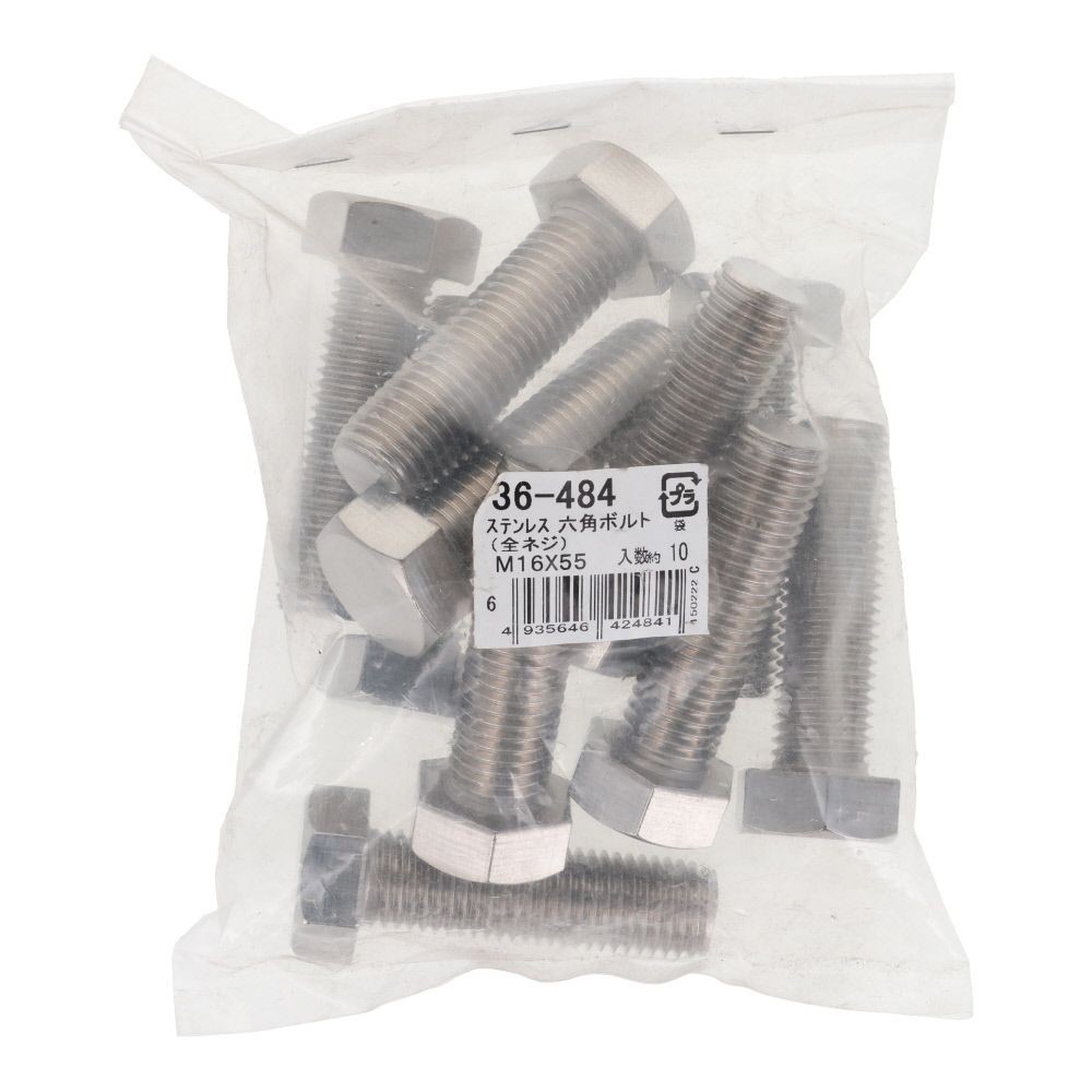 ステンレス　六角ボルト　Ｍ１６&times;５５　１０入, ボルト, M16&times;55