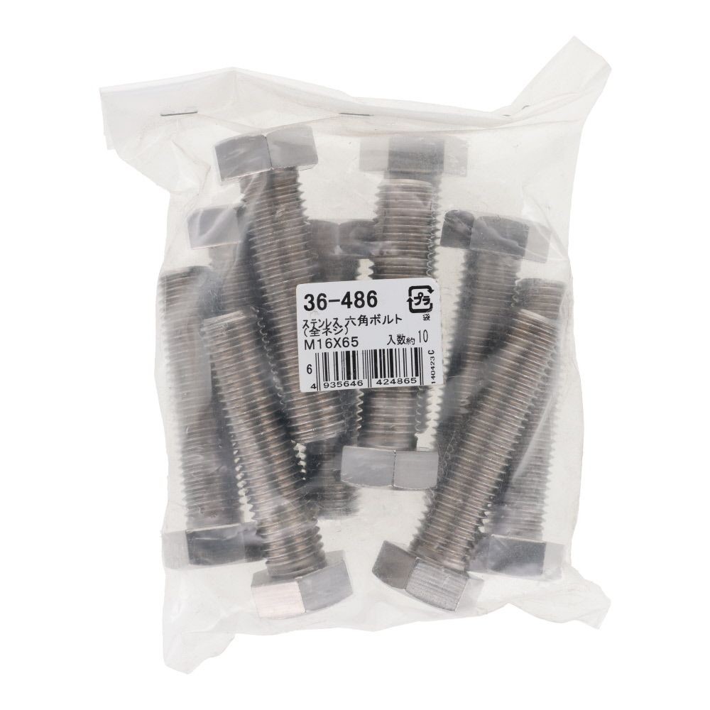 ステンレス　六角ボルト　Ｍ１６&times;６５　１０入, ボルト, M16&times;65