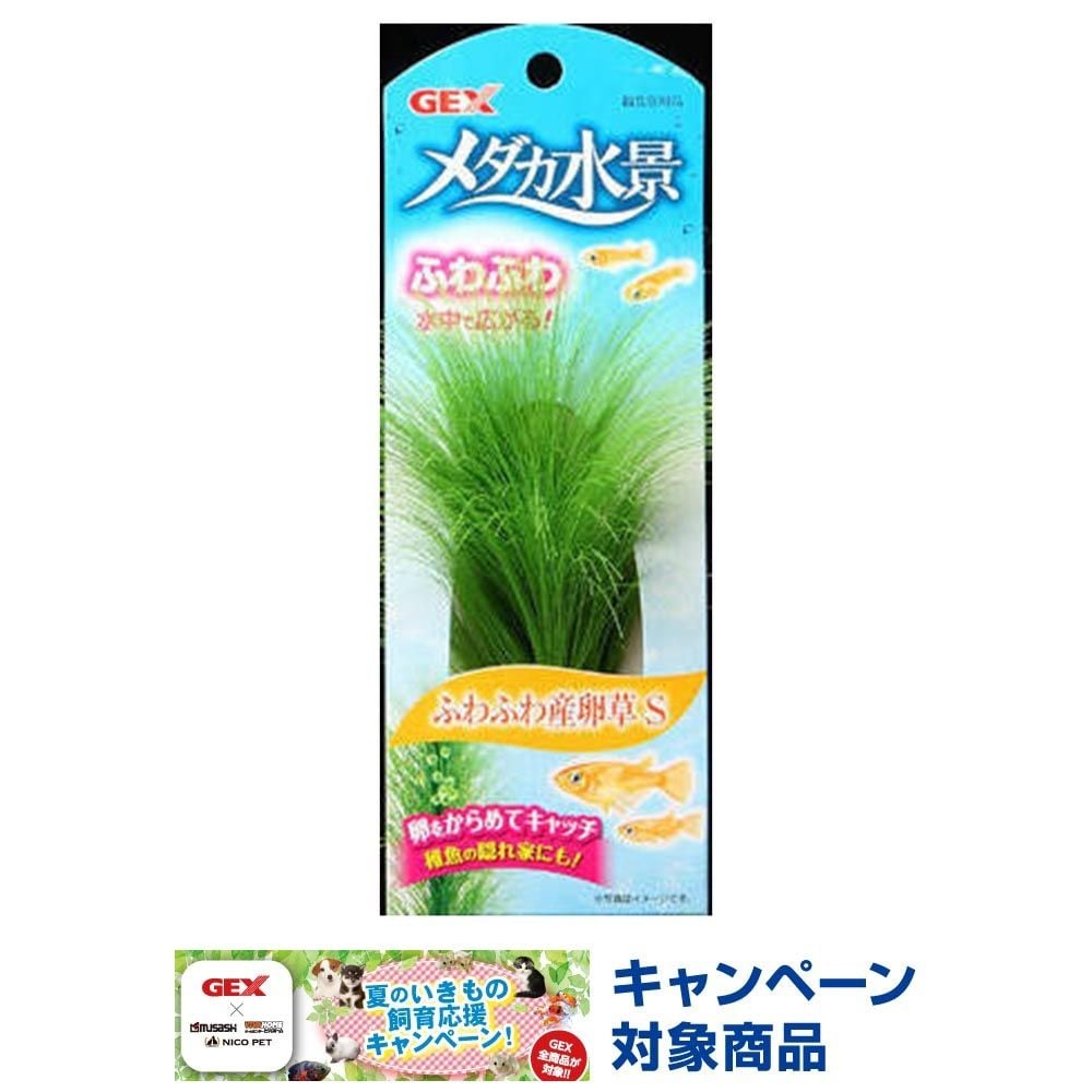 メダカ水景ふわふわ産卵草Ｓ, -, Sサイズ