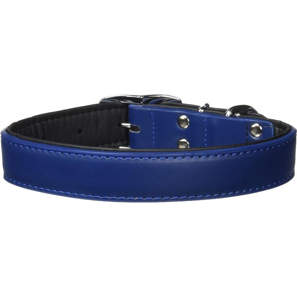 アース　係留平革首輪, 青, その他サイズ１