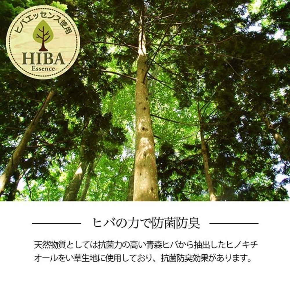 イケヒコ い草カーペット 花ござ ルネ ブラウン 江戸間 【メーカー直送・代引不可】, ブラウン, 江戸間2畳 174&times;174cm