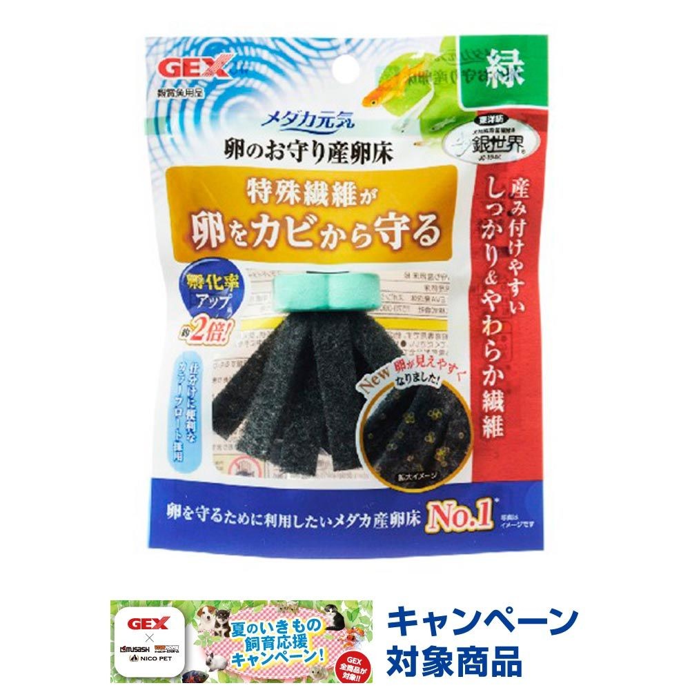 ジェックス　メダカ元気　卵のお守り産卵床, 緑, その他サイズ１
