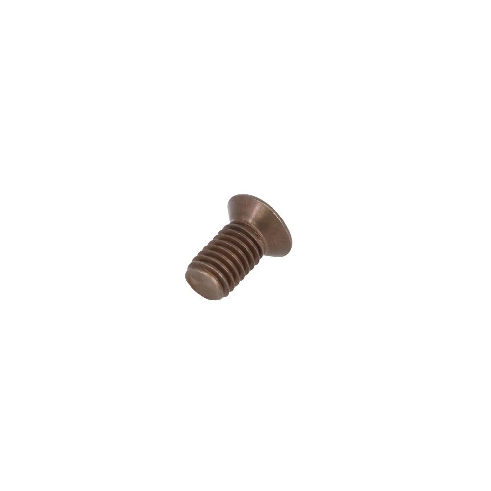 ステンブロンズサッシビスＤ６　５ｘ１０　ＤＯ―２０４, ブロンズ, M5&times;10mm