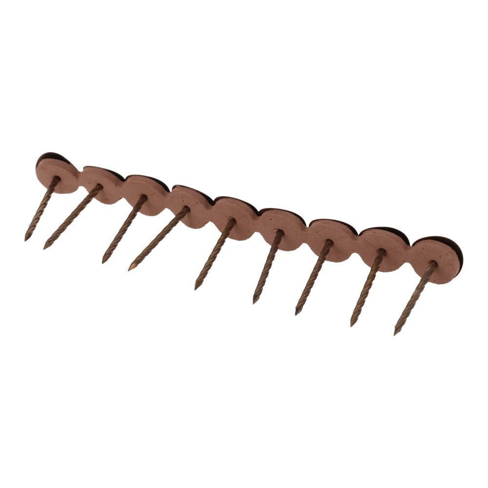 ステンレス連結傘釘  ３８ミリ　１０連, ブロンズ, 10連