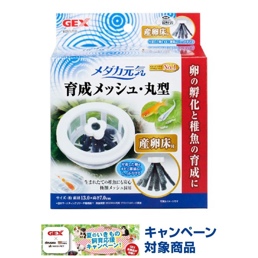 ジェックス　メダカ元気育成メッシュ丸型産卵床付, しっかりメッシュ, 1個入り