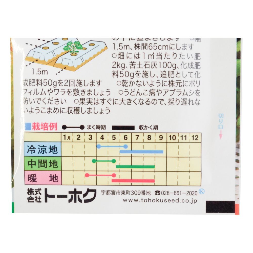 トーホク　よくなるズッキーニ黄坊, ズッキーニ, 3ml