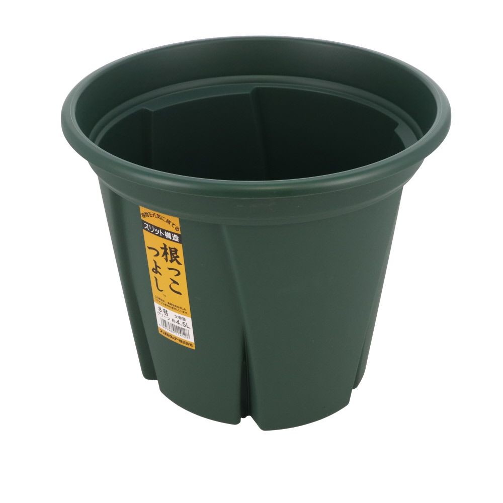 アップルウェアー　根っこつよし, グリーン, 8号