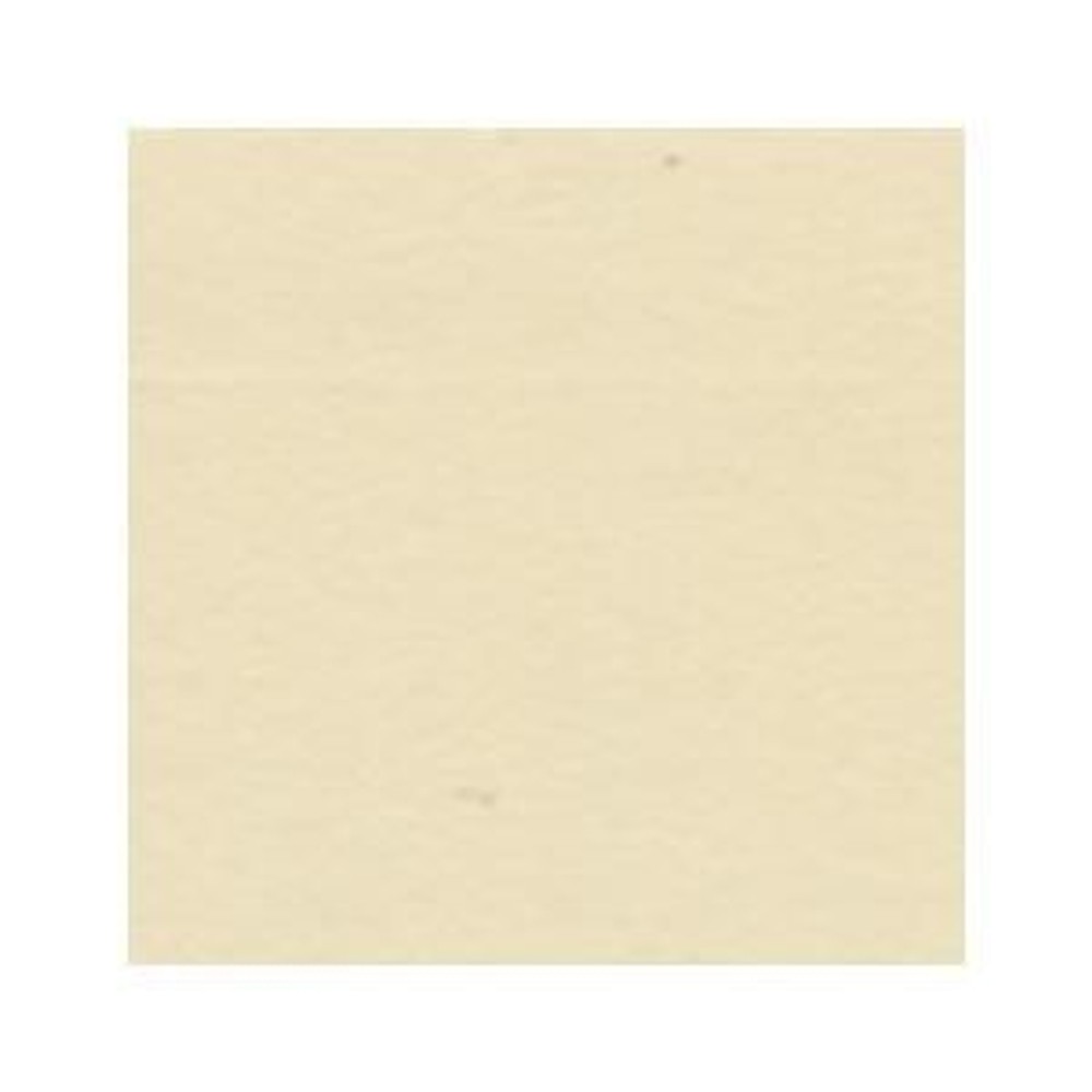 ホルベイン アクリル絵具 マットタイプ 120ml M016 ベージュ 14016, M016 ベージュ, マットタイプ 120ml