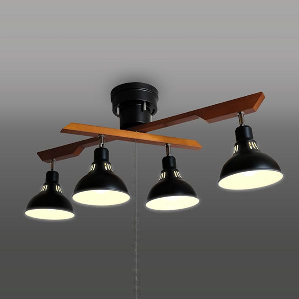 タキズミ LEDロッドスポット　(電球別売) ブラック DN4021RSBK, ブラック, DN4021RSBK