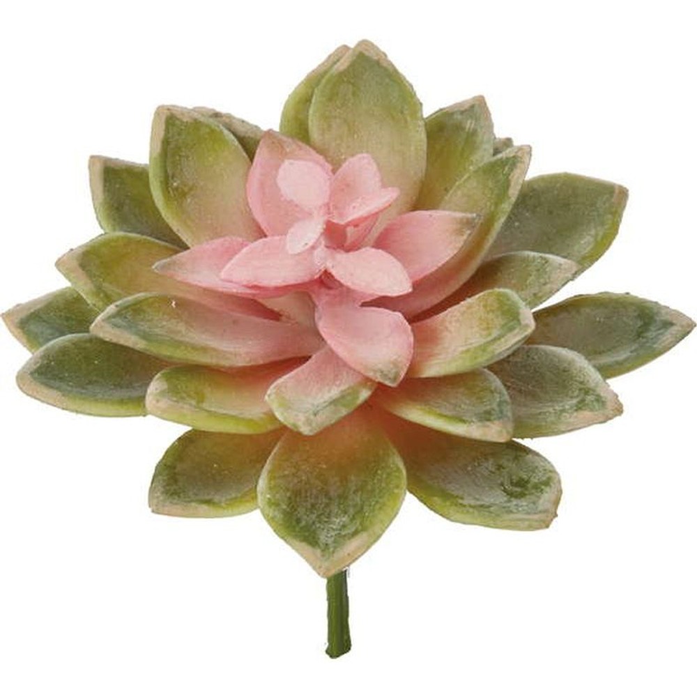 エケベリアピック, G/P, 造花