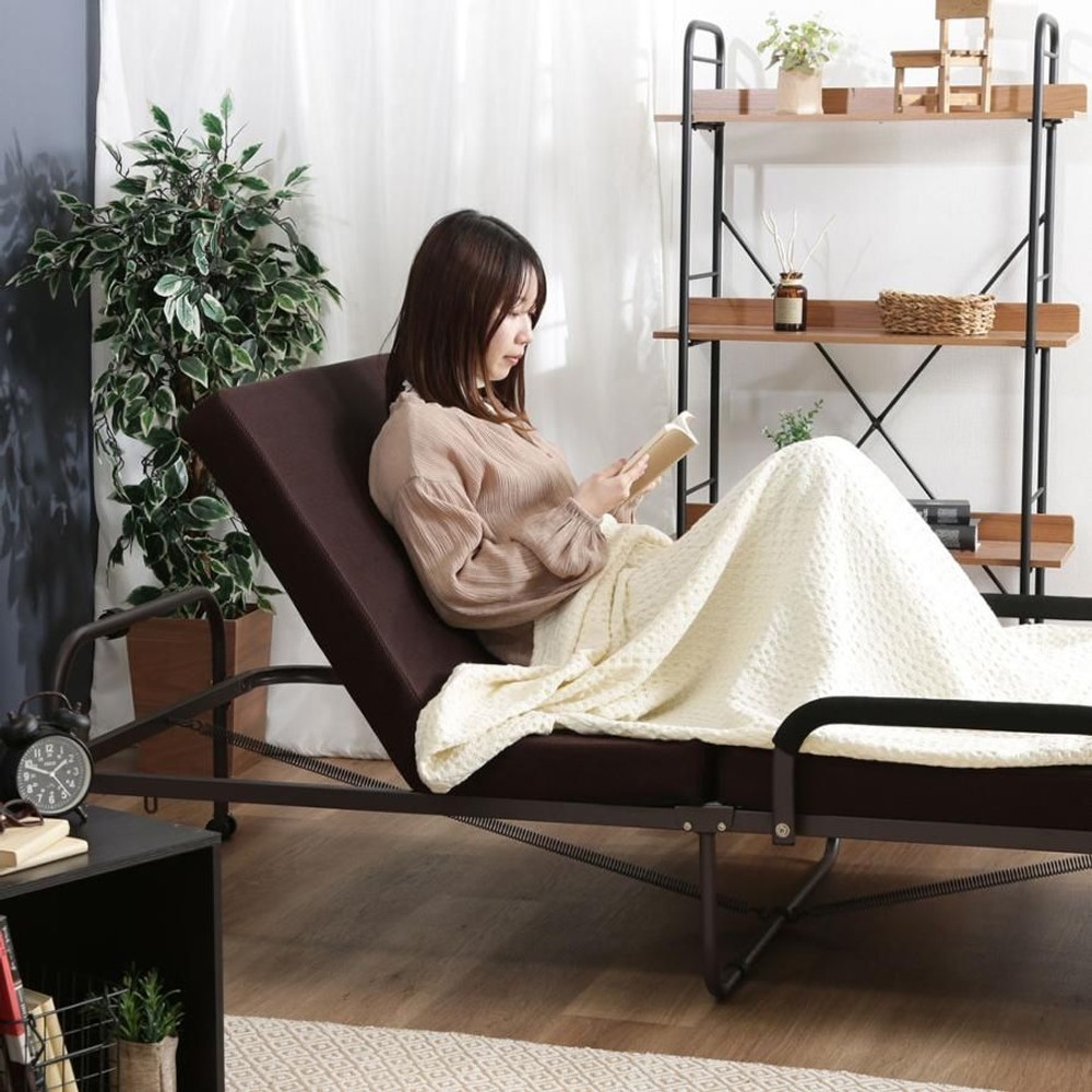 不二貿易  低反発折たたみベッド　フリーロック42段 【メーカー直送・代引不可】, ブラウン, シングル