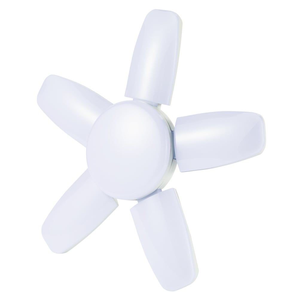 シーリングライト