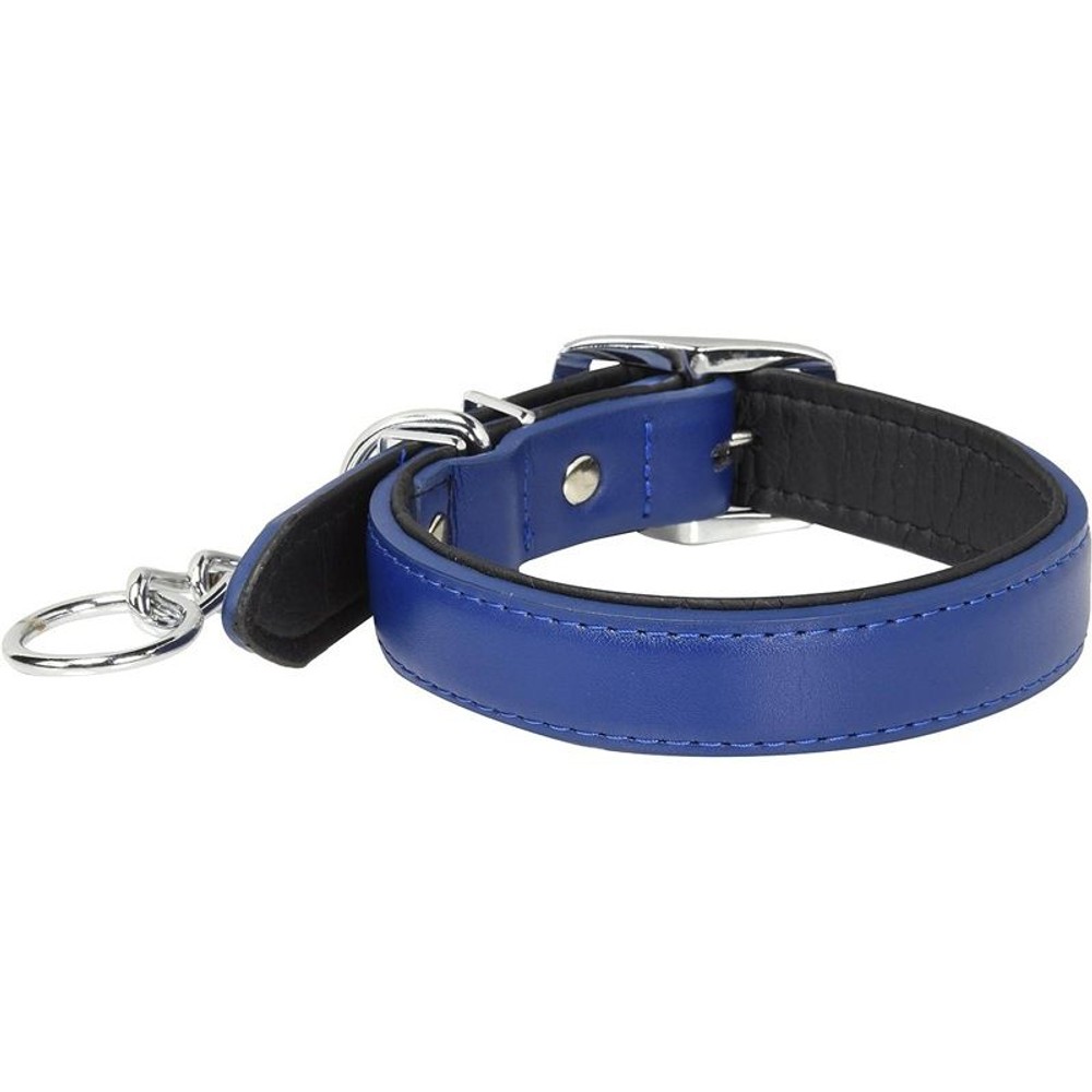アース　係留平革首輪, 青, その他サイズ１