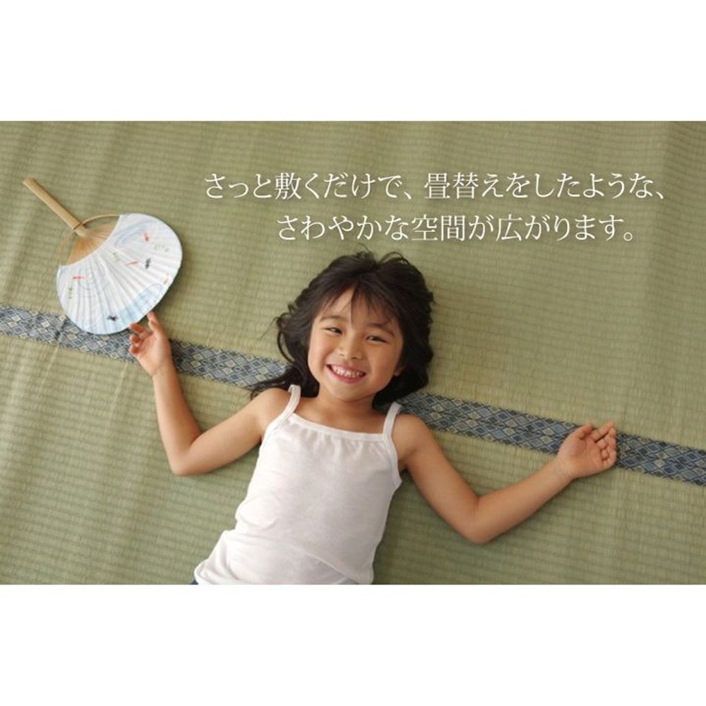 純国産 い草 上敷き カーペット 糸引織 『柿田川』 江戸間 【メーカー直送・代引不可】, い草, 江戸間2畳(約176&times;176cm）