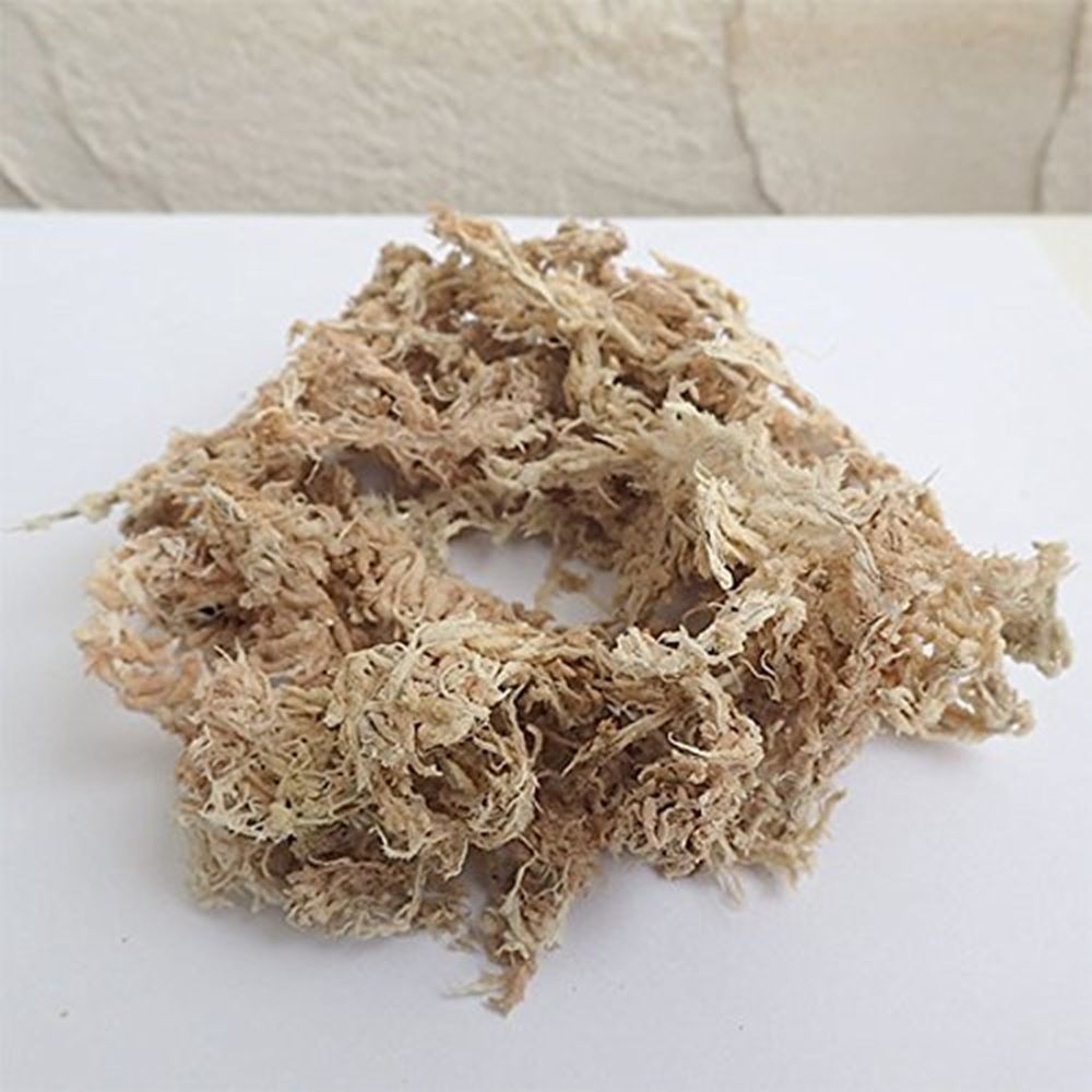 共福産業 ニュージーランド産 水苔 500g, 水苔, 500g