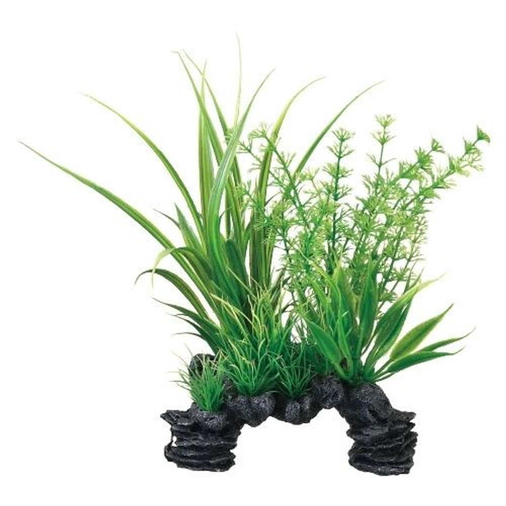 ジェックス　癒し水景ＭＩＸプランツ　ミリオフィラム, -, -