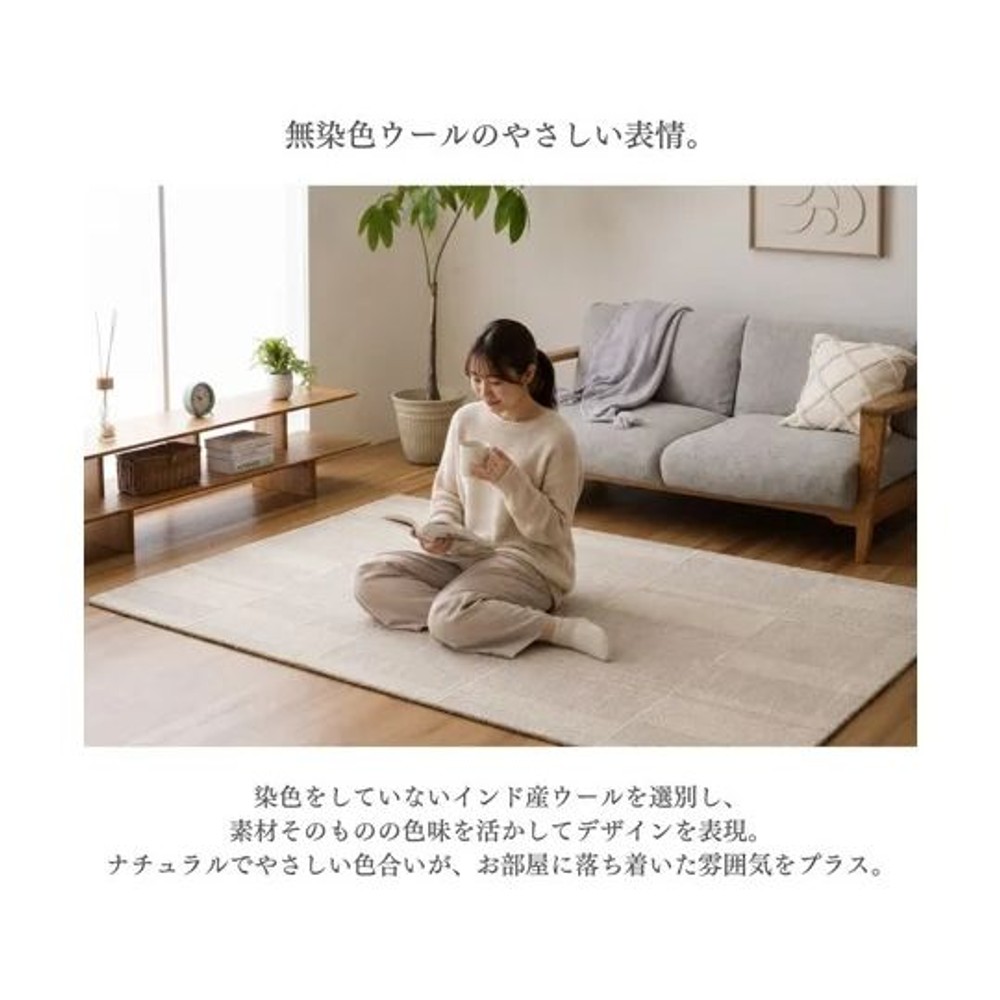 イケヒコ カーペット・ラグ スートラ 【メーカー直送・代引不可】, ベージュ, 133&times;190cm