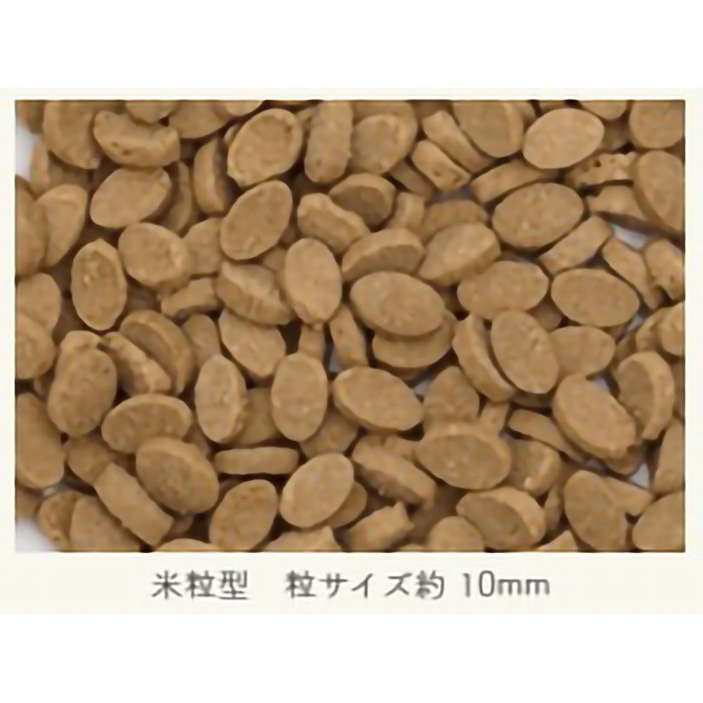 犬の雑穀ごはん アダルト チキン 一般食 800g, チキン, 800g