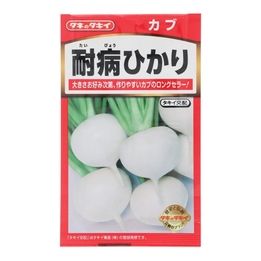 タキイ　かぶ　耐病ひかり, かぶ, 3ml