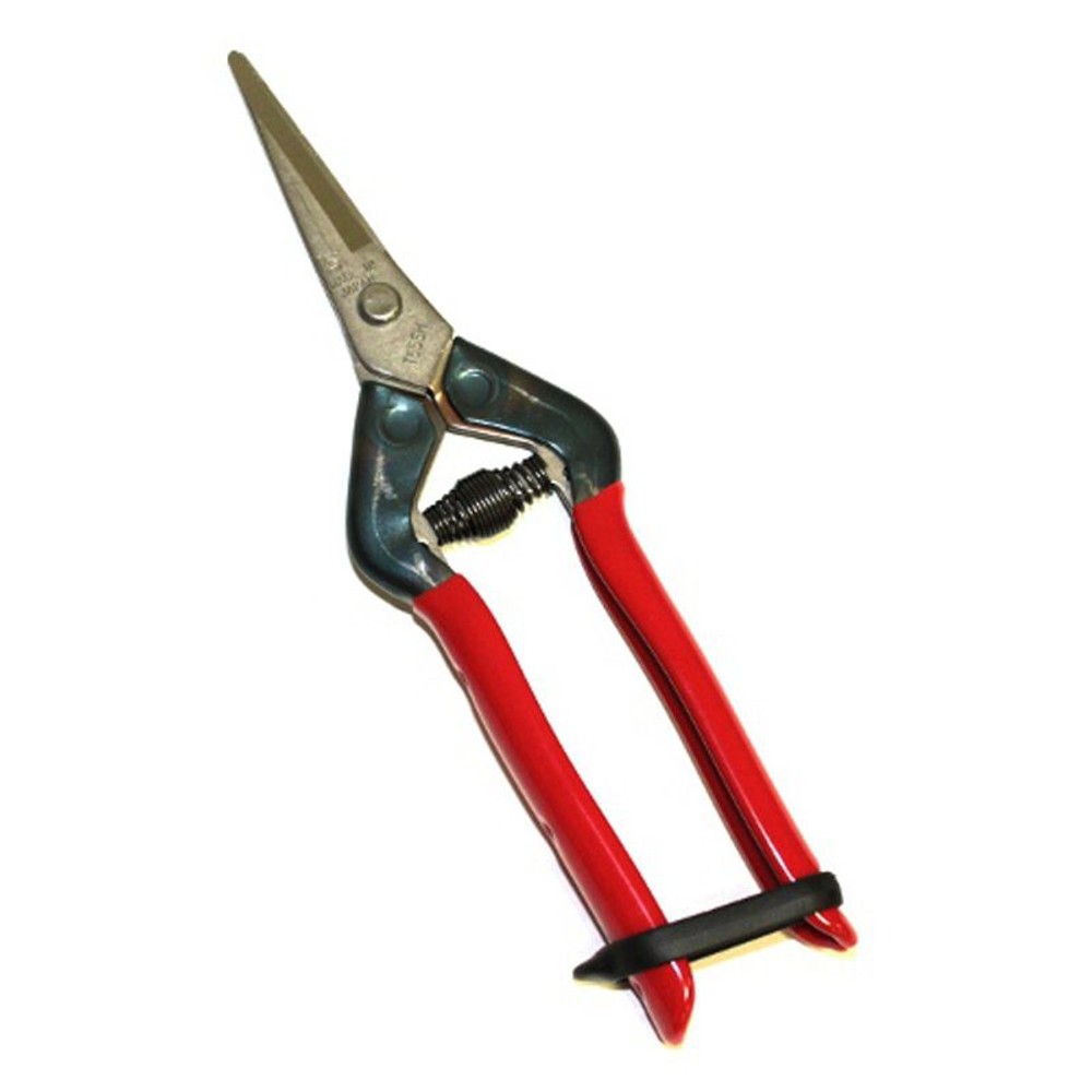 チカマサ　ステン芽切鋏　Ｔ―55ＳＨ, その他カラー１, その他サイズ１