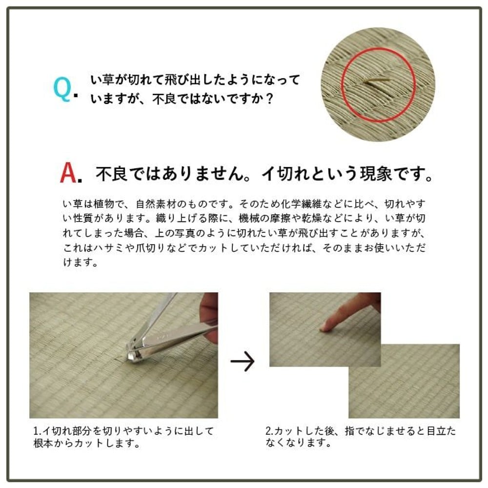 い草 畳 自然素材 カーペット ラグ インテリア 夏用 節電 無地 涼しい ダイヤ柄 シンプル クッション性 グリーン 【メーカー直送・代引不可】, グリーン, 240&times;240cm