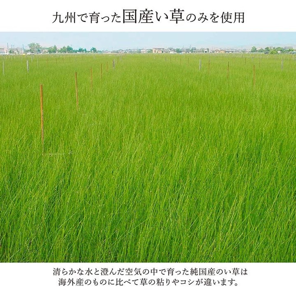 イケヒコ ランクス総色 純国産 い草ラグカーペット 裏貼り無 ワイン 【メーカー直送・代引不可】, ワイン, 95&times;150cm