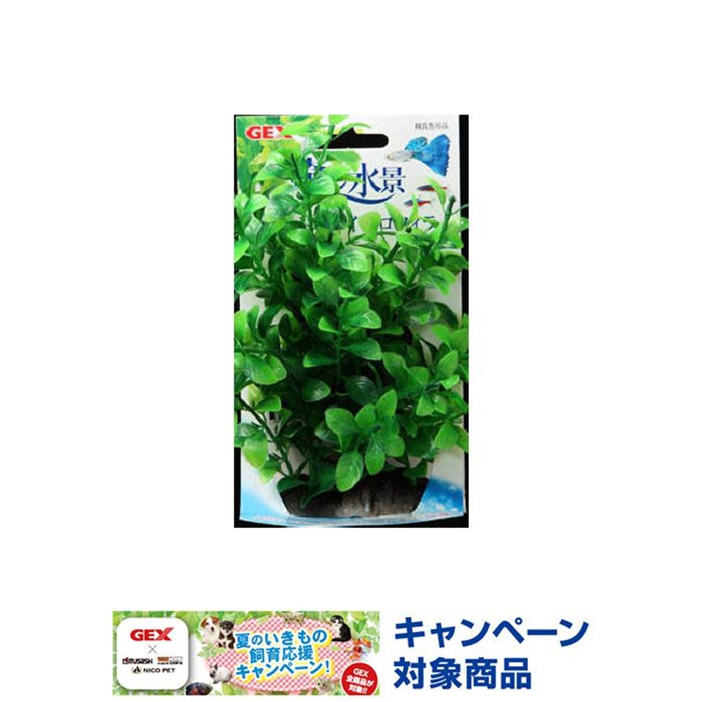 癒し水景　たっぷりプランツ　ハイグロフィラ, -, -