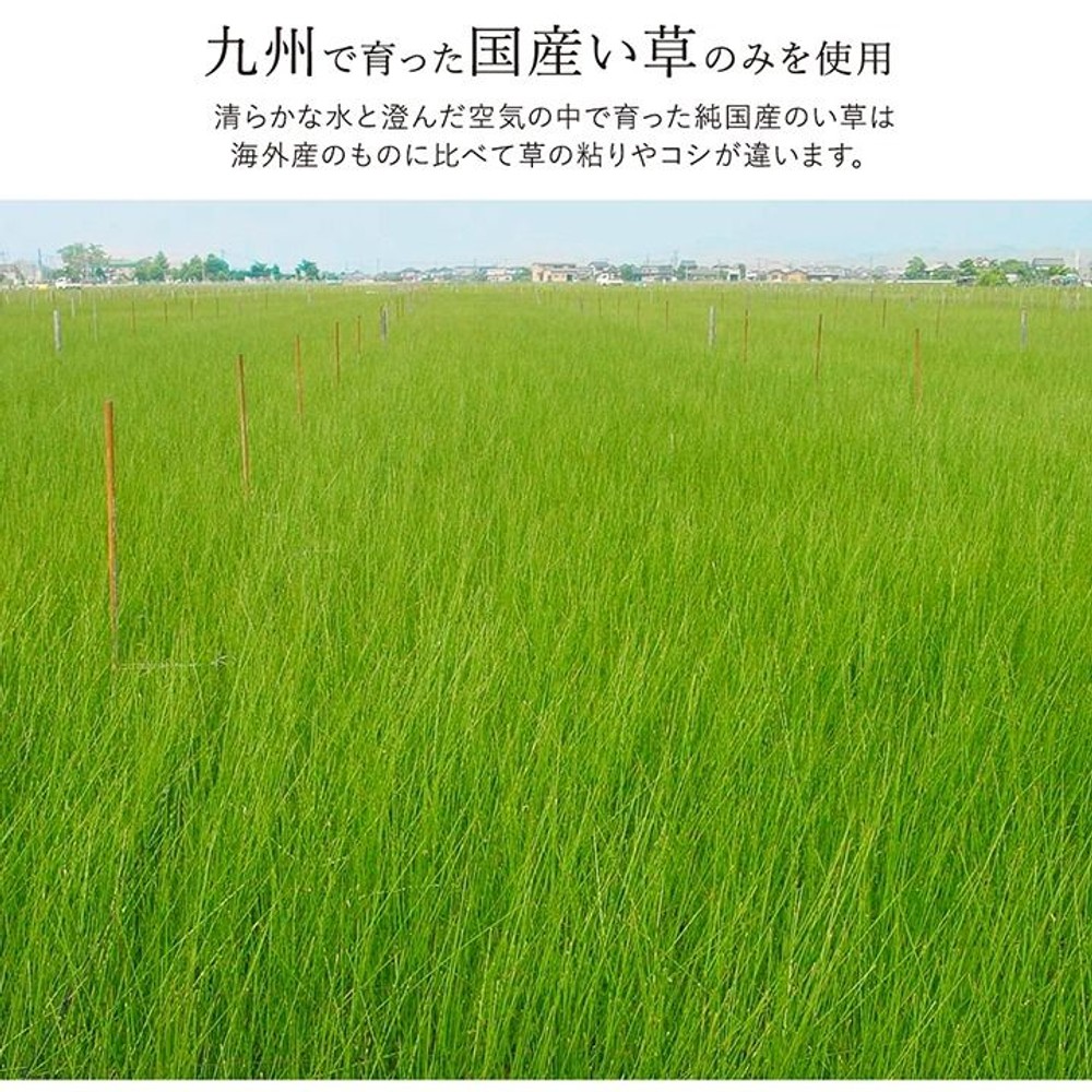 イケヒコ い草ラグカーペット Fソリッド ウレタン 無地調 ライトブラウン 【メーカー直送・代引不可】, ライトブラウン, 140&times;200cm