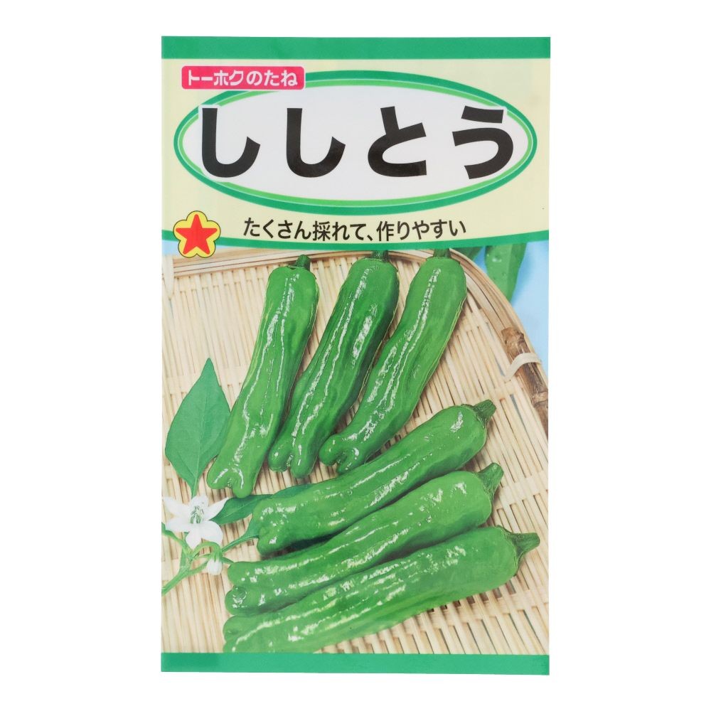 トーホク　ししとう
