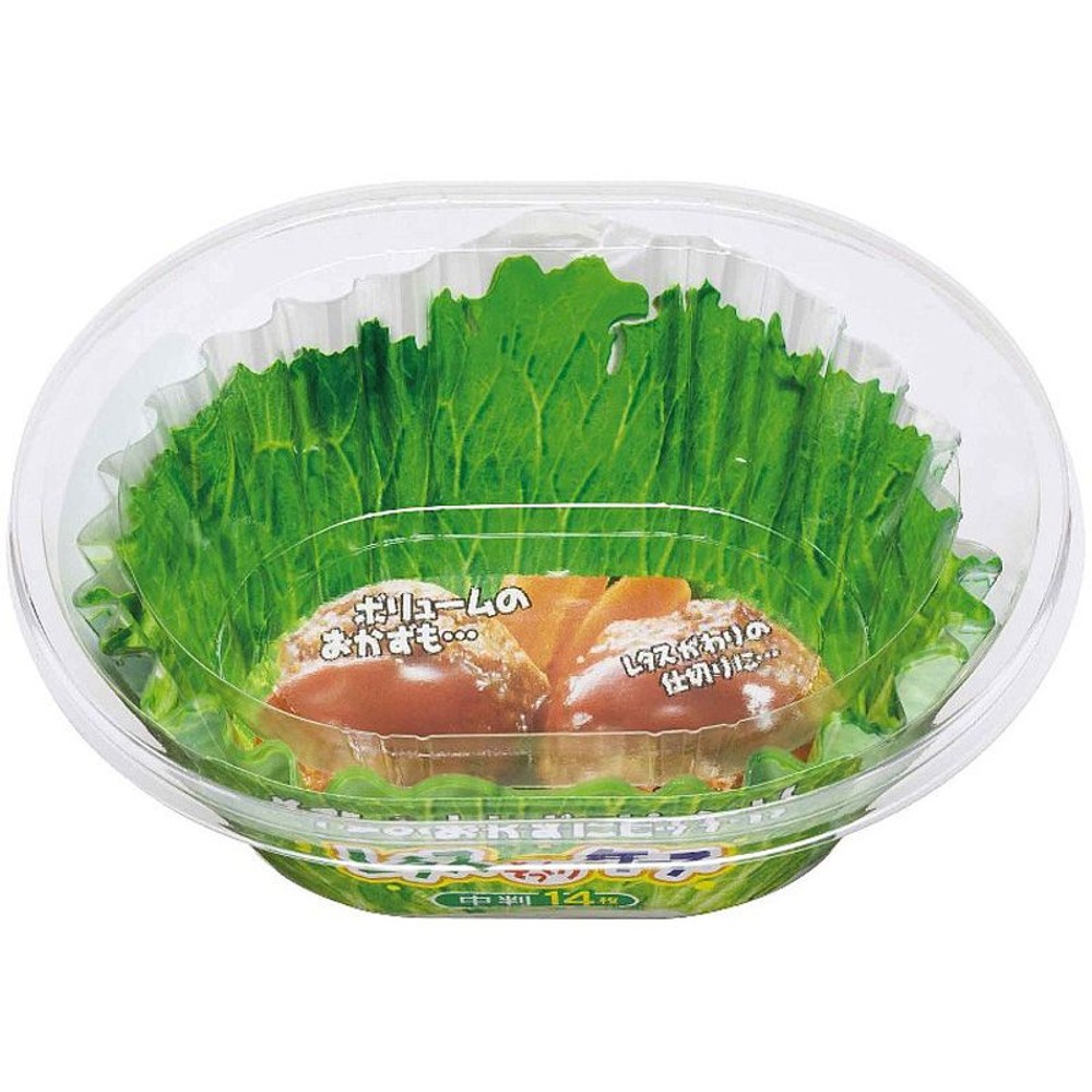 レタスケース　14枚入り, その他カラー１, その他サイズ１